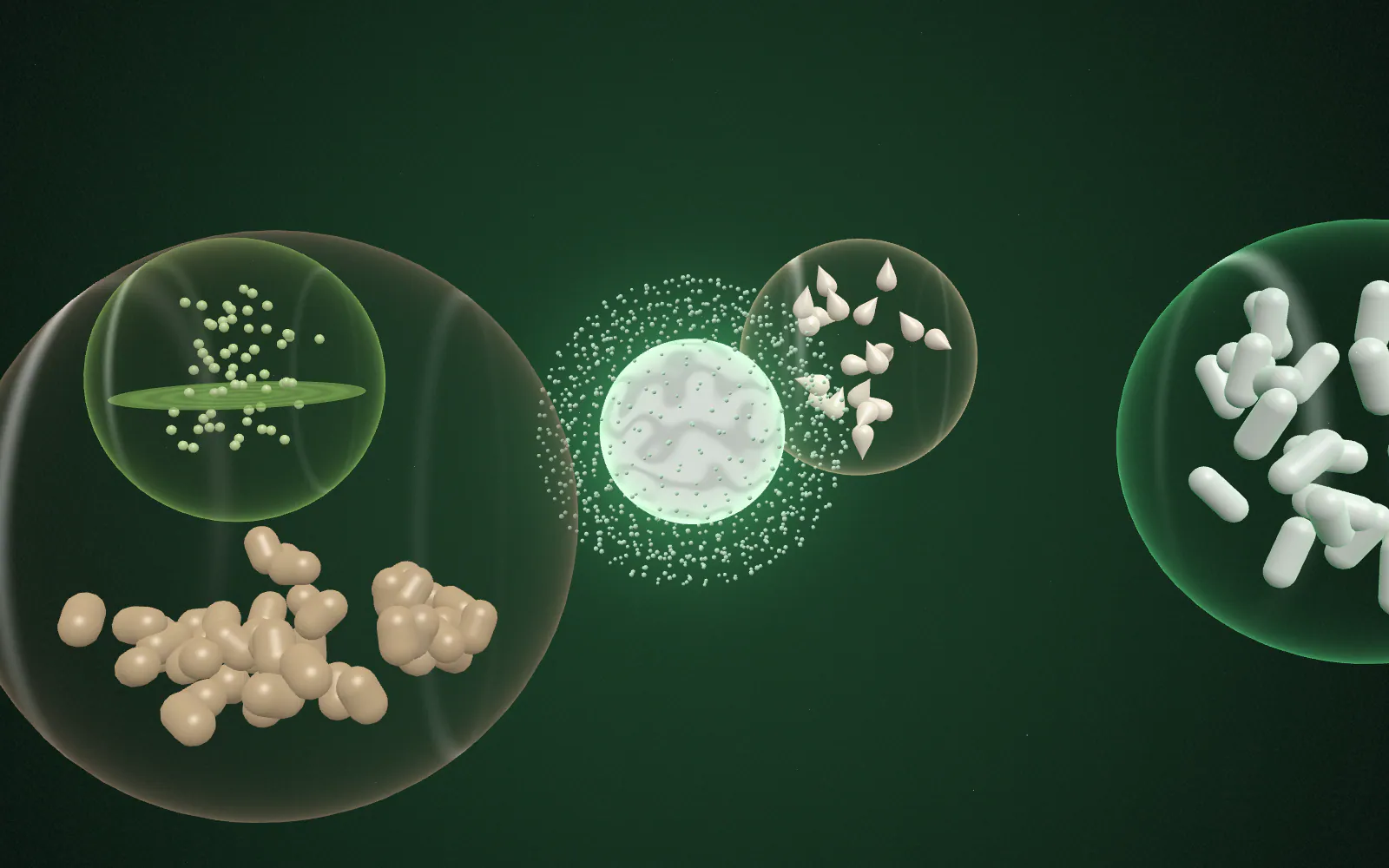 A standardized ingredient particle at the centre of a nutraceutical world of capsule and tablet-like forms.