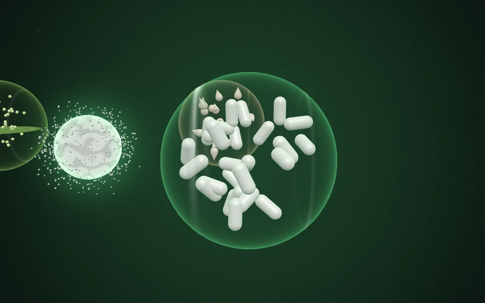 Fine measurement lines outline the ingredient as its starting material is characterised.
