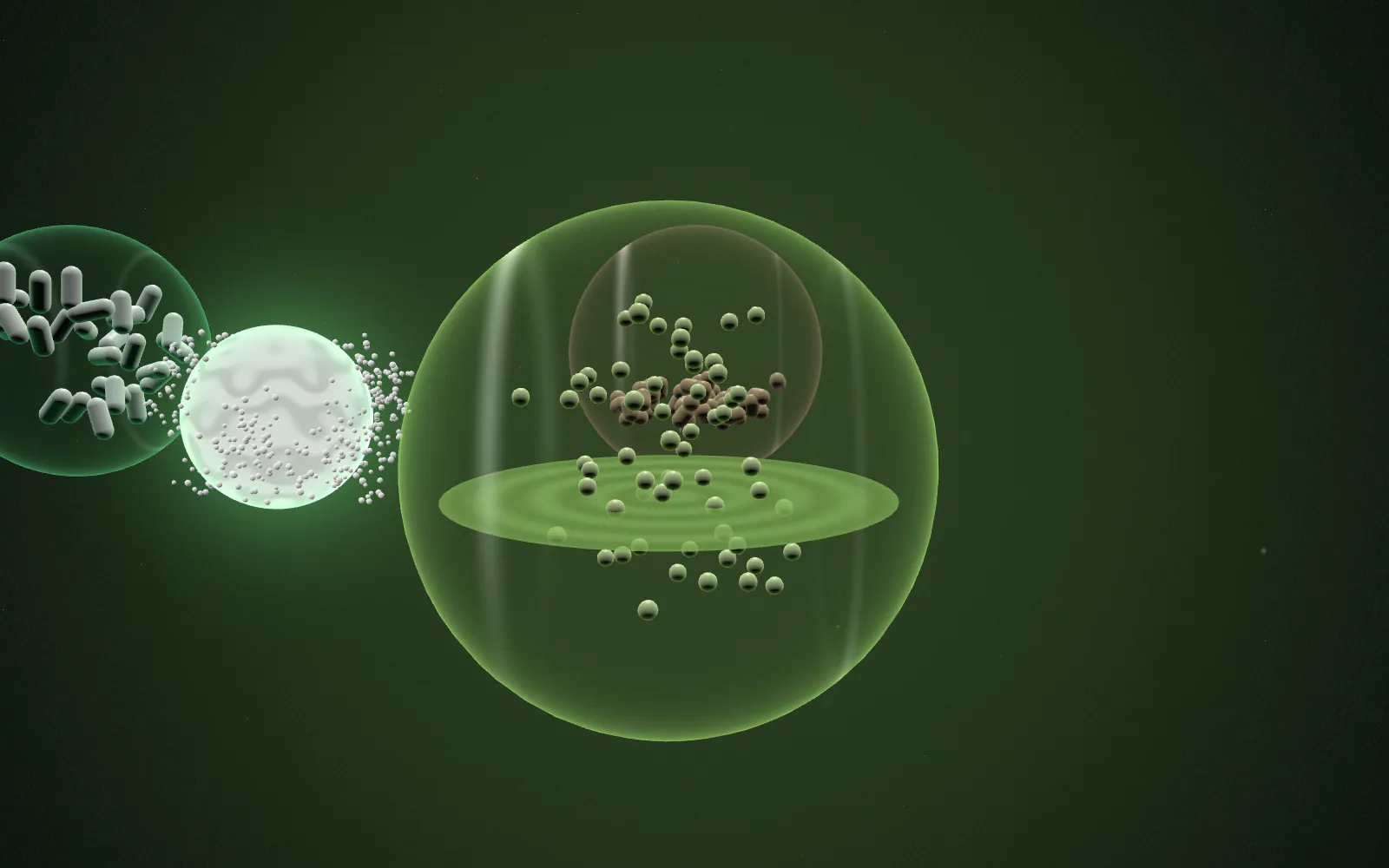 The camera orbits 180° around the same ingredient; the surrounding world becomes Functional Food & Beverage: a rippling liquid with rising bubbles.