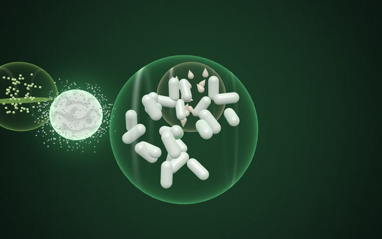 The camera orbits 0° around the same ingredient; the surrounding world becomes Nutraceutical: capsule and tablet-like forms.