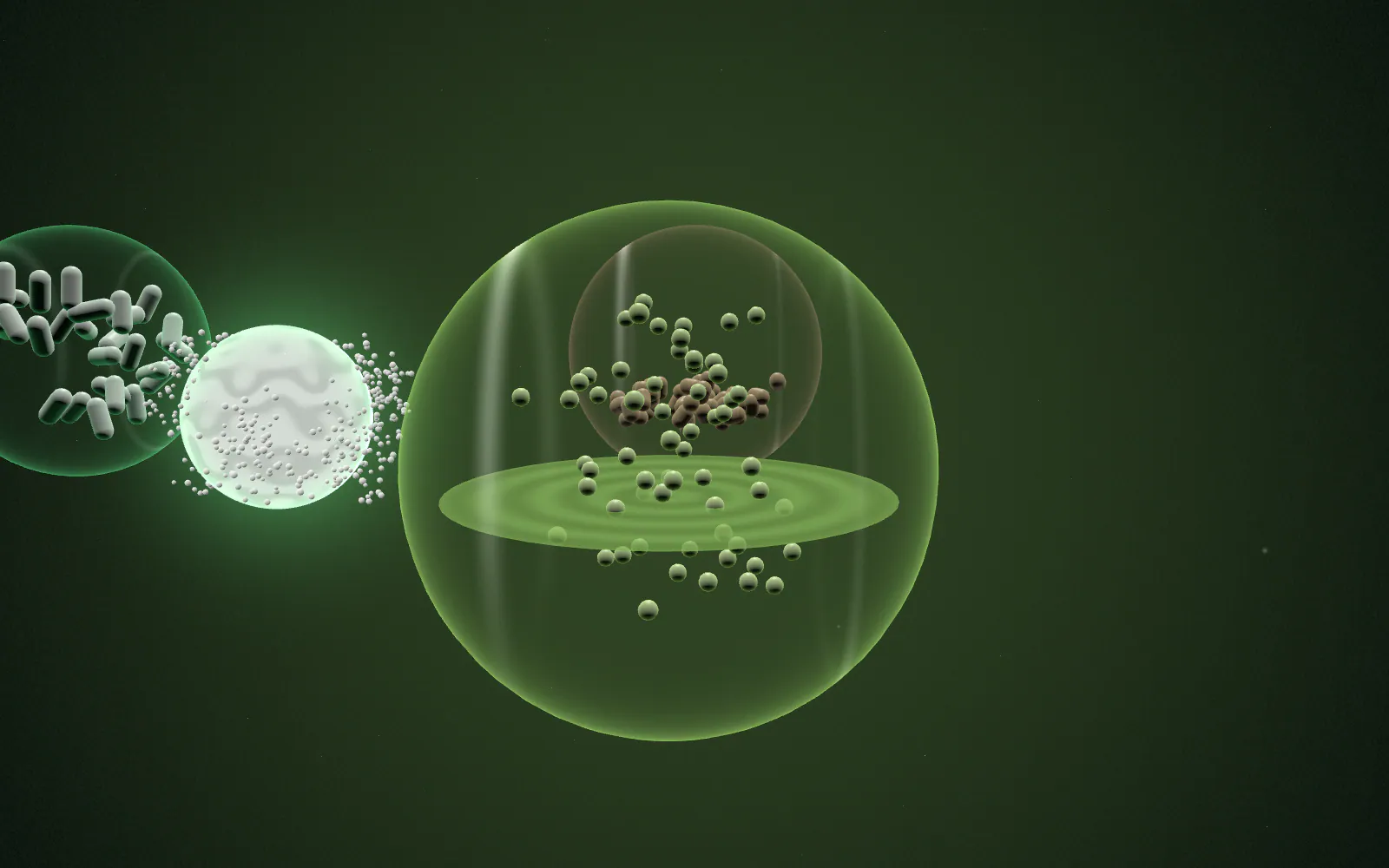 The camera orbits 180° around the same ingredient; the surrounding world becomes Functional Food & Beverage: a rippling liquid with rising bubbles.