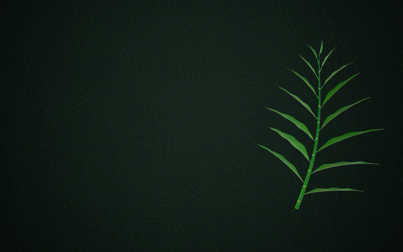 A botanical sprig floats in soft light, the starting point of botanical ingredients.