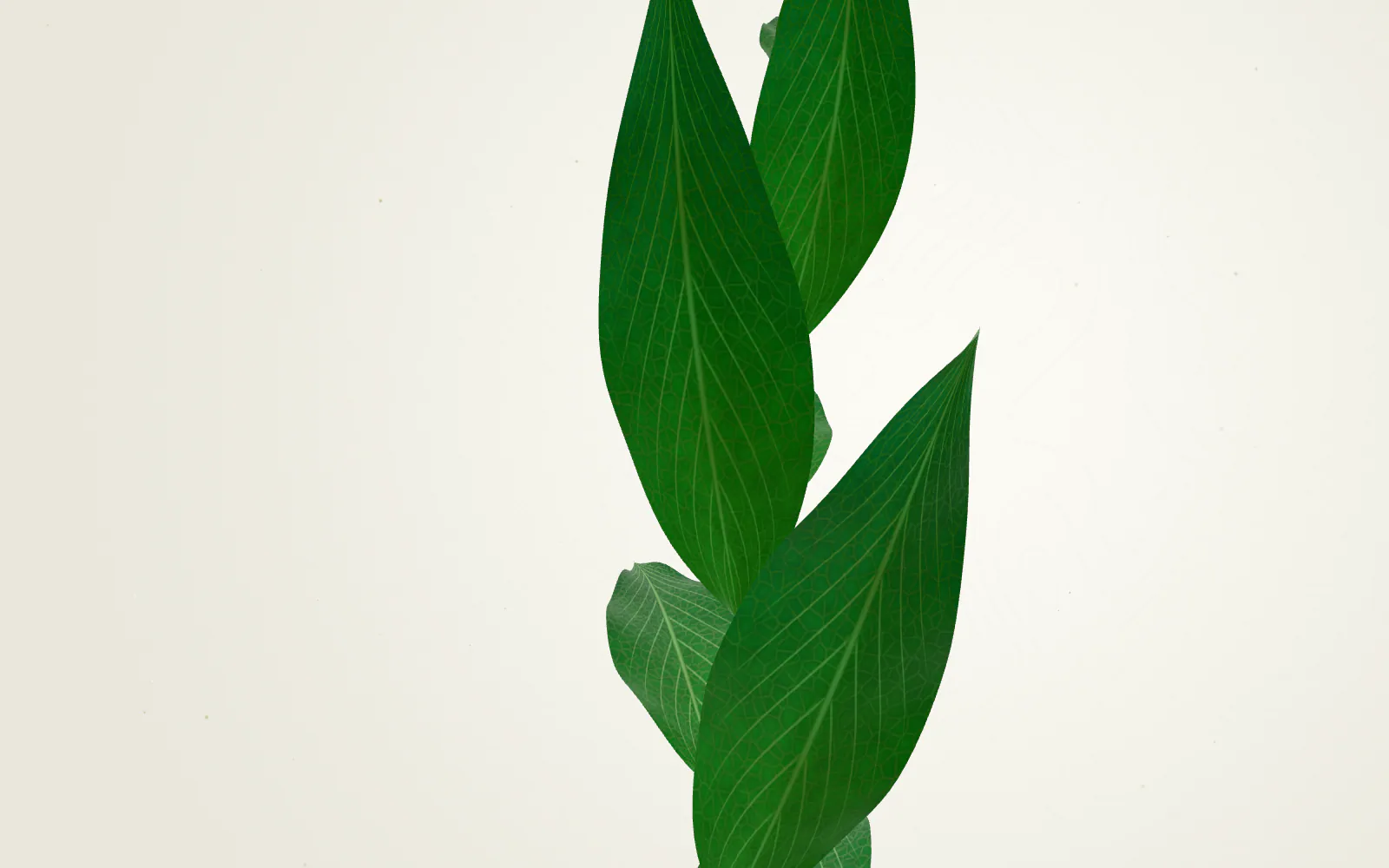 The camera drifts closer to the plant; one leaf turns to face us and its veins begin to glow.