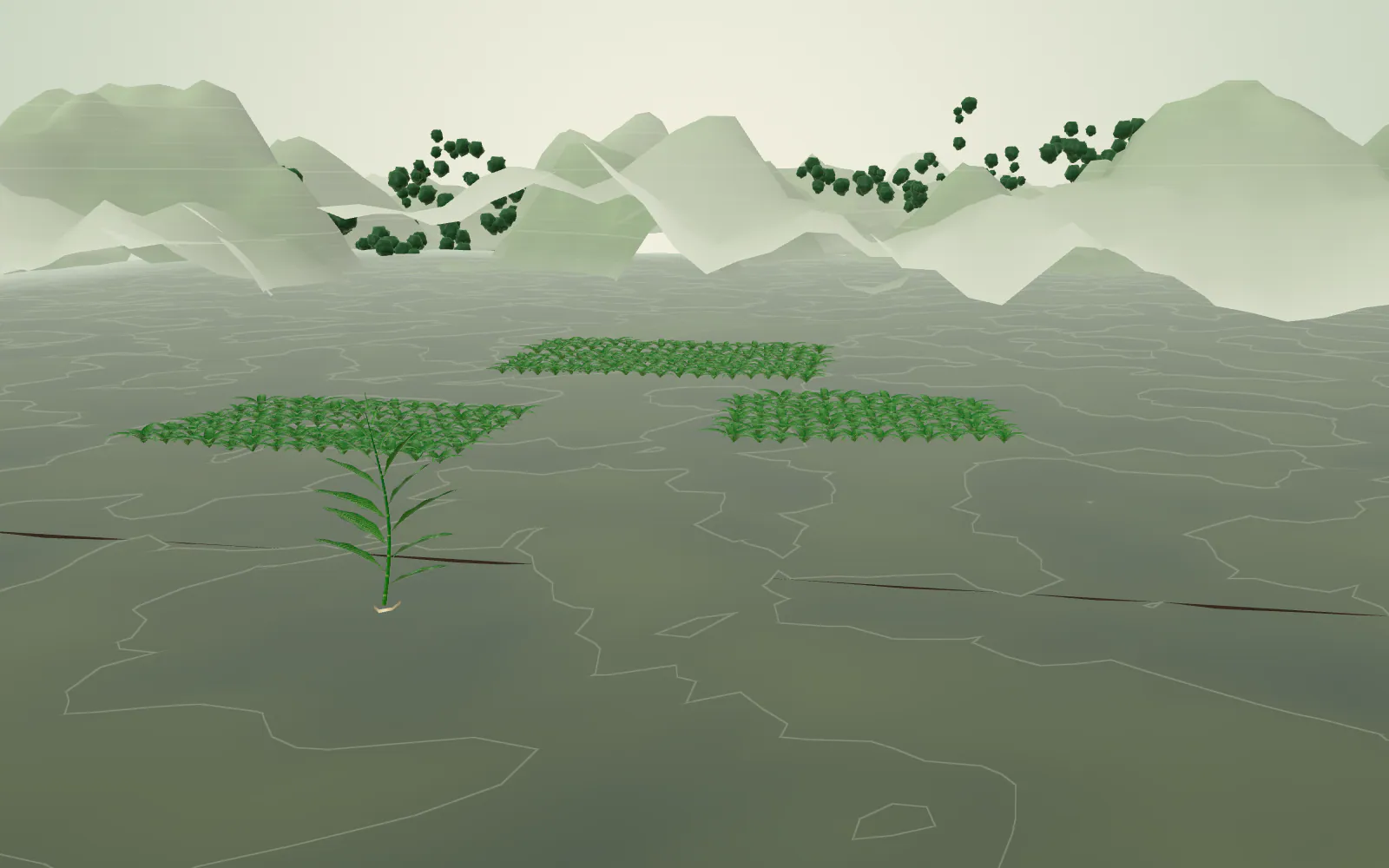 The view widens to orderly cultivation rows following the contours of the land.