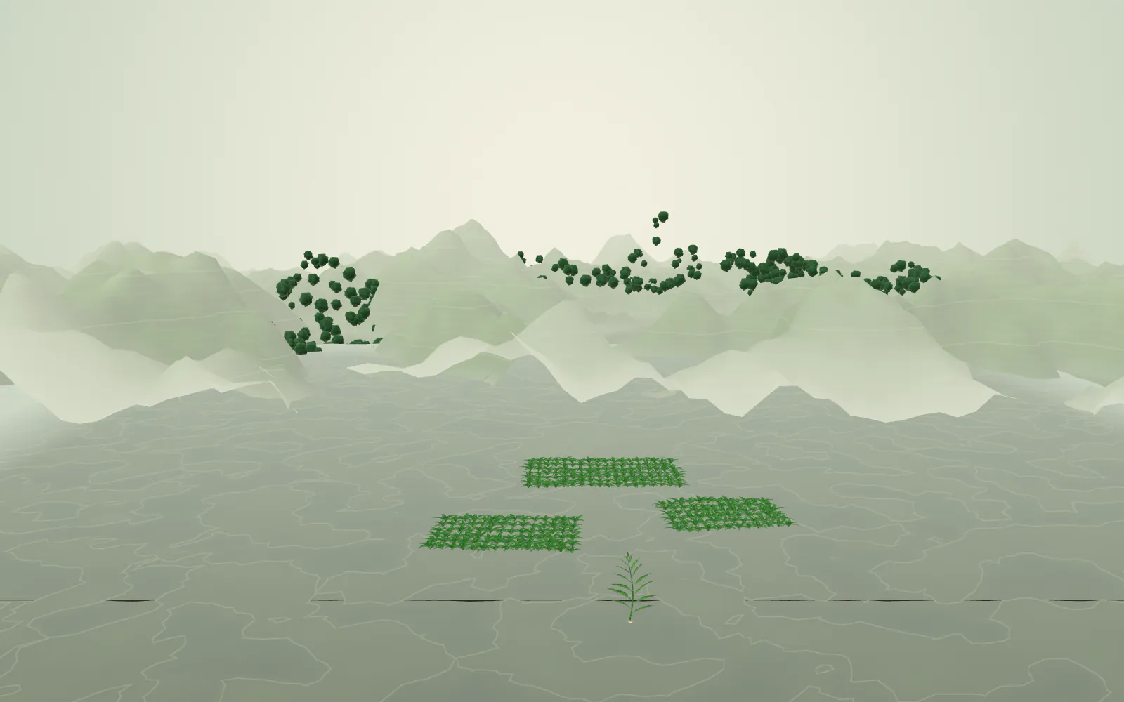 The camera climbs above forested hills and plantations — a whole ecosystem in soft haze.